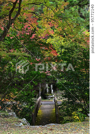 Autumn leaves of Takeyasan valley 95772140