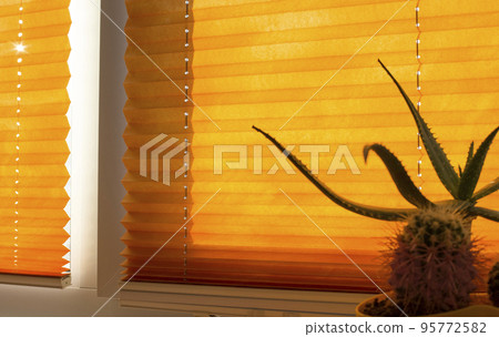 Pleated blinds with orange folded fabric on the window close up. On the windowsill stands home plant in yellow flower pot. Cordless bottom up top down pleated shade with white lower bar. 95772582