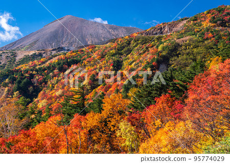"Fukushima Prefecture" Tengu Garden/Bandai Azuma Skyline "Autumn leaves at its peak" 95774029