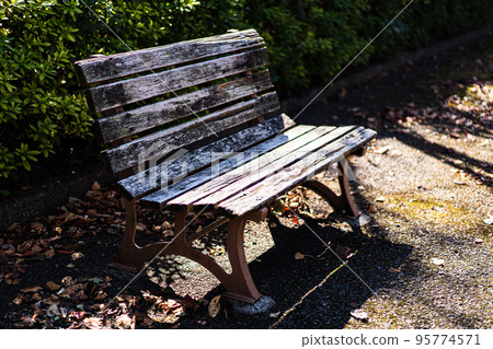 公園裡的長木凳和燈光 95774571