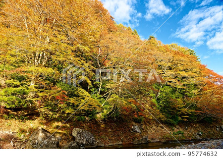 Yagen 和 Oku Yagen 的秋天 (22.10.26) 95774632