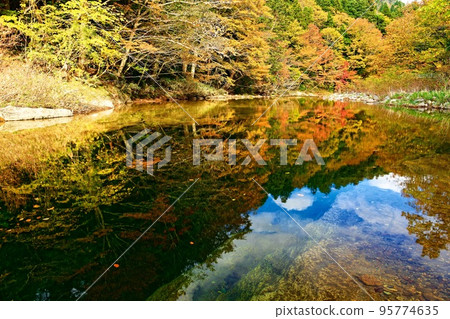 Autumn of Yagen and Oku Yagen (22.10.26) 95774635