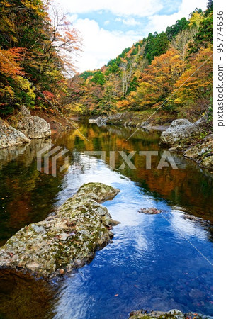 Yagen 和 Oku Yagen 的秋天 (22.10.26) 95774636