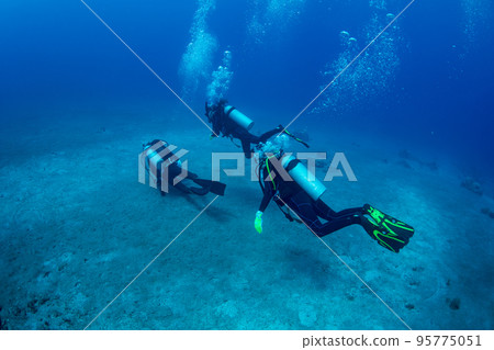 Ogasawara woman diving 95775051