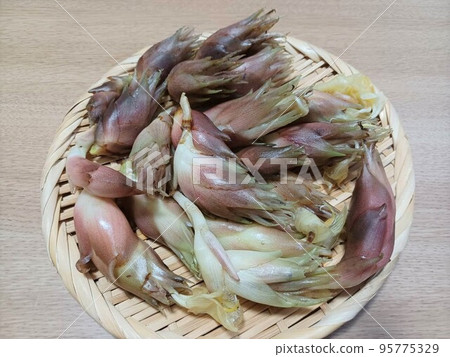 Fresh myoga ginger in a colander 95775329