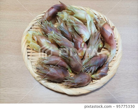 Fresh myoga ginger in a colander 95775330