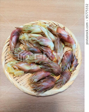 Fresh myoga ginger in a colander Fresh myoga ginger in a colander 95775332