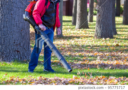 Worker operating heavy duty leaf blower in city park. Removing fallen leaves in autumn 95775717