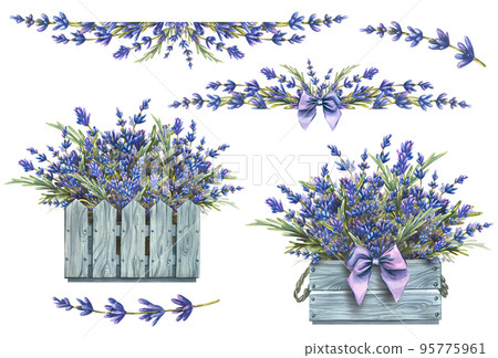 Set with lavender flowers, compositions, bouquet. Watercolor illustration from the LAVENDER SPA collection. For decoration and design in the style of Provence Set with lavender flowers, compositions, bouquet. Watercolor illustration from the LAVENDER SPA collection. For decoration and design in the style of Provence 95775961