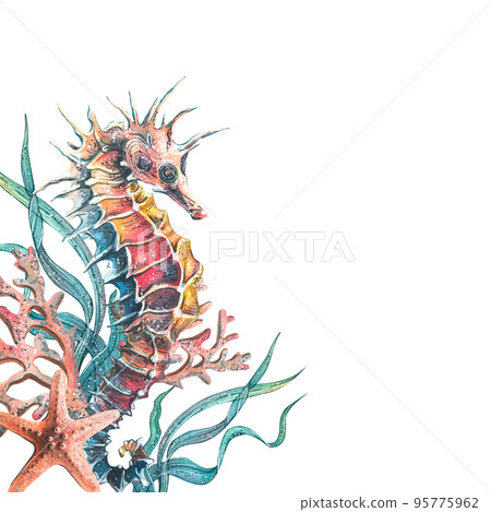 A seahorse with corals, algae and a starfish. Watercolor illustration. For decoration and design of summer, beach, souvenirs, menus, posters 95775962