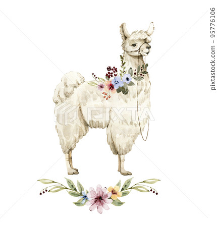 white alpaca cute fluffy animal with flower bouquets, watercolor illustration.	 95776106
