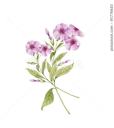 delicate bouquet with pink garden flowers watercolor illustration, hand painted. delicate bouquet with pink garden flowers watercolor illustration, hand painted. 95776683
