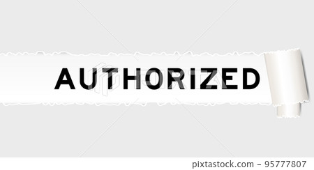 Ripped gray paper background that have word authorized under torn part 95777807