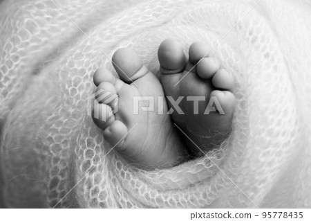 The tiny foot of a newborn. Soft feet of a newborn in a woolen blanket. Close up of toes, heels and feet of a newborn baby. Studio Macro black and white photography. Woman's happiness. 95778435