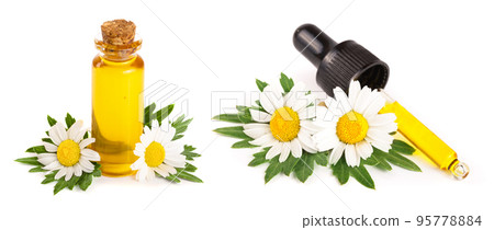 bottle with essential oil and fresh chamomile flowers isolated on white background 95778884