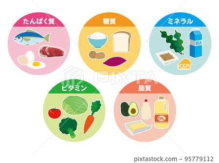 含有5大營養素的成分-插圖素材 [95779112] - PIXTA圖庫