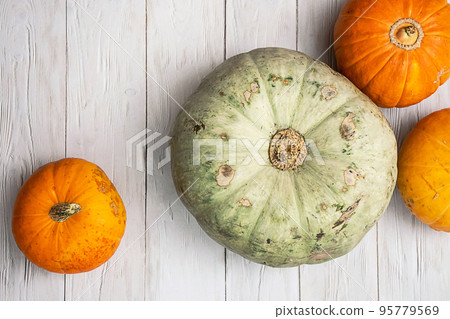 Still life with vibrant pumpkins. Thanksgiving or autumn backgro Still life with vibrant pumpkins. Thanksgiving or autumn backgro 95779569