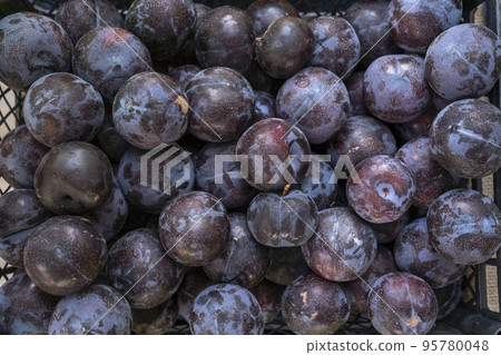 Group of Plum fruit on the grocery 95780048