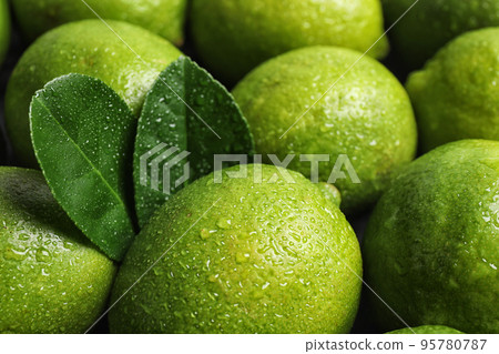 Fresh ripe juicy limes as background, closeup 95780787