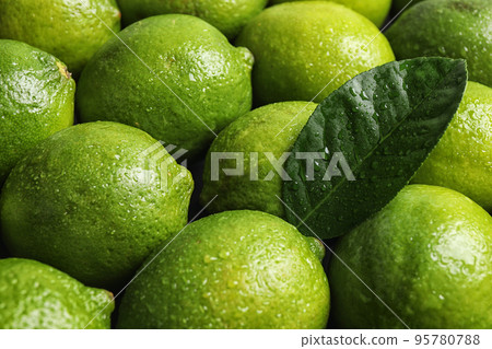 Fresh ripe juicy limes as background, closeup 95780788