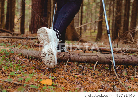 Young woman backpacker legs with hiking poles goes through the forest, rear view 95781449