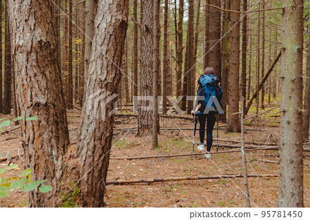 Young woman backpacker with poles hiking alone through the forest, back view 95781450