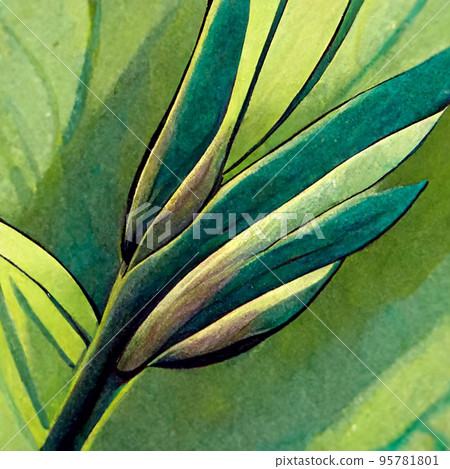 Nature view of green tropical plants leaves background. Dark nature concept. Nature view of green tropical plants leaves background. Dark nature concept. 95781801