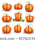 Set of Halloween pumpkins isolated on white background. 95782535