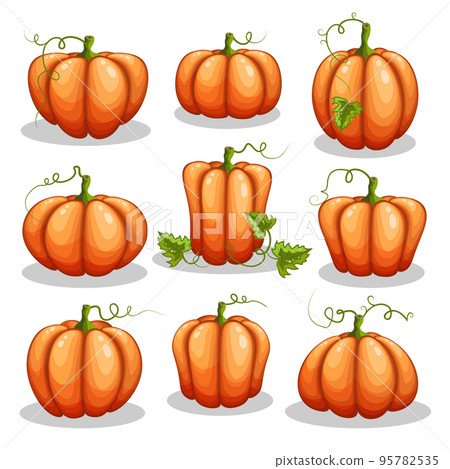 Set of Halloween pumpkins isolated on white background. Set of Halloween pumpkins isolated on white background. 95782535