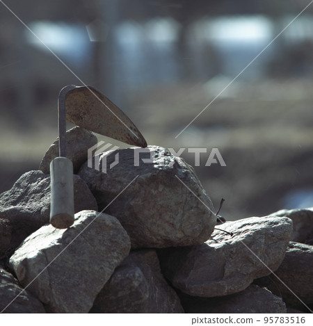 霍米 霍米 95783516