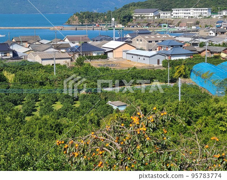 片葉港附近的風景 95783774