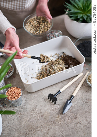 soil substrate preparation for transplanting houseplants on concrete background soil substrate preparation for transplanting houseplants on concrete background 95784088