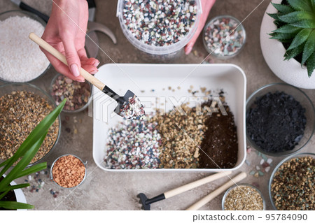 soil substrate preparation for transplanting houseplants on concrete background soil substrate preparation for transplanting houseplants on concrete background 95784090