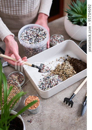 soil substrate preparation for transplanting houseplants on concrete background soil substrate preparation for transplanting houseplants on concrete background 95784092