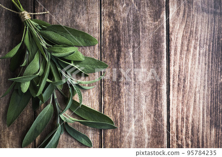 Sage leaf, kitchen sage on dark wooden table, cooking background, copy space 95784235