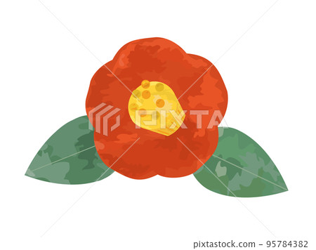一朵紅茶花的插圖 95784382