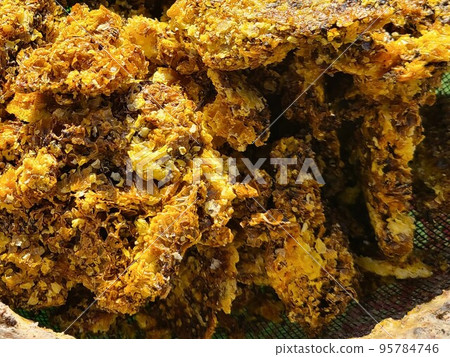 Generation of beeswax blocks Dissolve honeycomb lees in hot water Generation of beeswax blocks Dissolve honeycomb lees in hot water 95784746