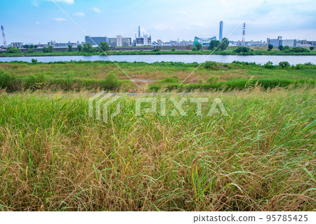 Scenery of Arakawa, near Toda Sasame Bridge, summer season 95785425