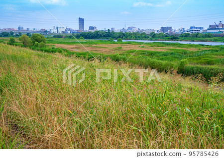 Scenery of Arakawa, near Toda Sasame Bridge, summer season 95785426