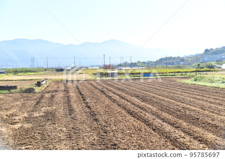 收割後整齊地犁過稻田 收割後整齊地犁過稻田 95785697