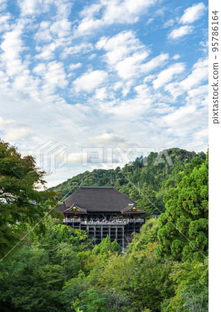 [京都府]被大自然包圍的清水寺本堂 95786164