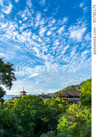 [京都府] 清水寺的正殿和被大自然環繞的三層寶塔 95786175