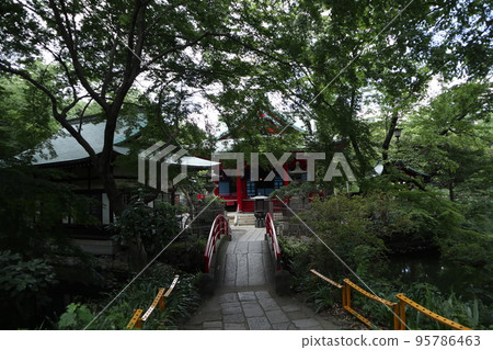Tokyo Inokashira Park Tokyo Inokashira Park 95786463