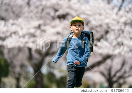 elementary student, primary school child, primary school student 95786643