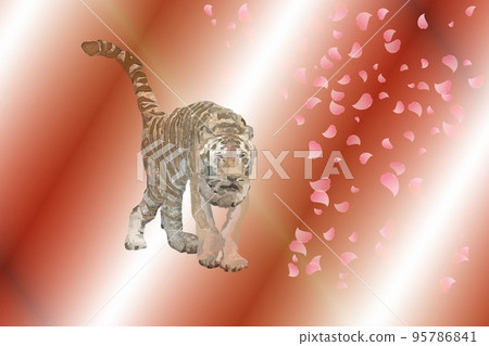 Sakura snowstorm and tiger! Early spring! !! 95786841