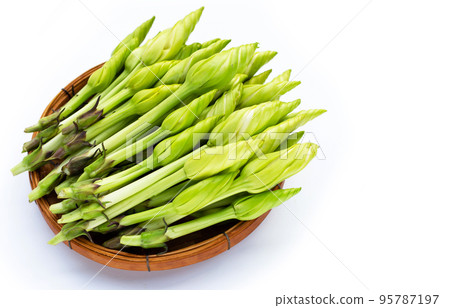 Moonflower or Ipomoea alba L for cooking Moonflower or Ipomoea alba L for cooking 95787197