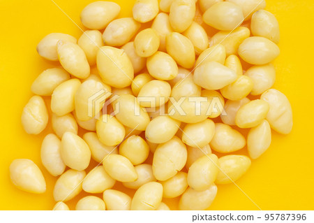 Boiled ginkgo nuts on yellow background. Boiled ginkgo nuts on yellow background. 95787396