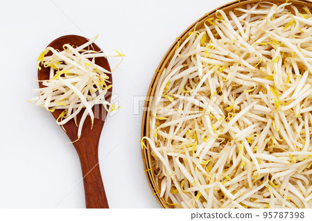 Bean sprouts on white background 95787398