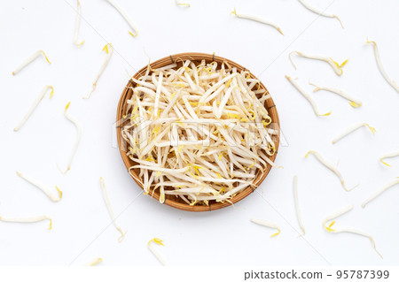 Bean sprouts on white background 95787399