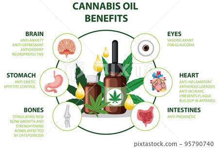 Benefits of CBD for physical health diagram 95790740
